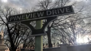 Pineview Drive screenshot thumbnail video