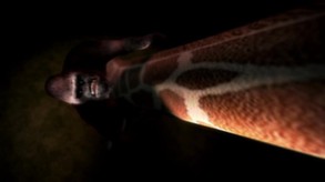 Wildlife Park 2 screenshot thumbnail video