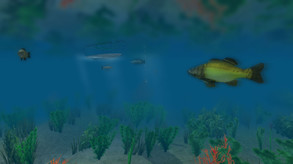 European Fishing screenshot thumbnail video