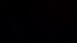 The Blue Flamingo screenshot thumbnail video