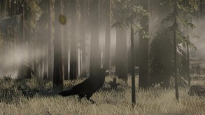 TOTM screenshot thumbnail video