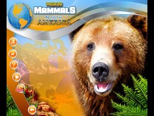 Wildlife Creative Studio screenshot thumbnail video