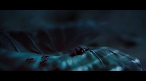 Ready or Not Trailer