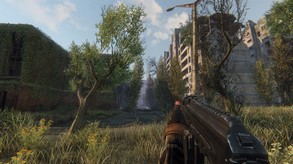 Video 5