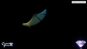 3D ParticleGen Visual FX screenshot thumbnail video