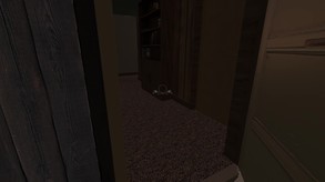 Gameplay