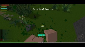 Survival basics