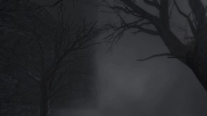 Vapour screenshot thumbnail video