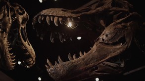 Jurassic Island: The Dinosaur Zoo