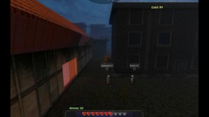 Multiplayer Gameplay