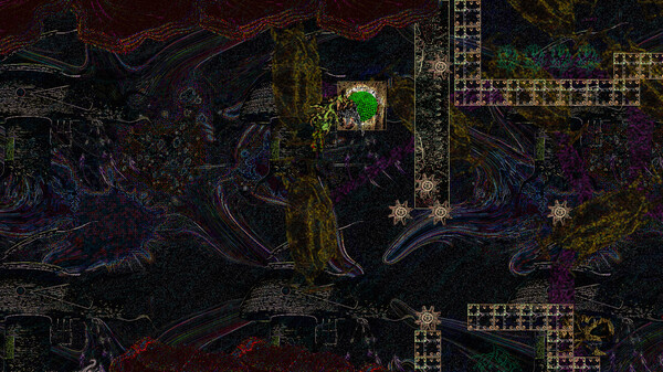 Siphonopolis