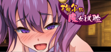 梅尔的魔女试验 封面