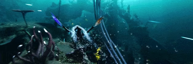 Glaciered video 2