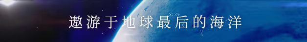 冰海孤翼