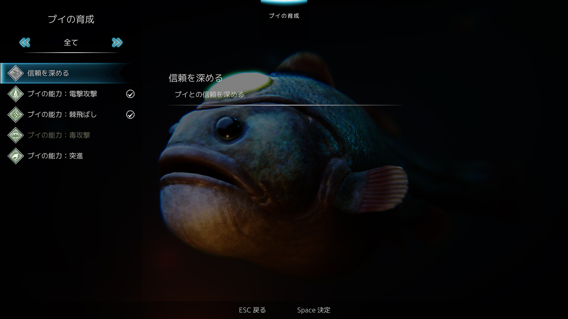 スクリーンショット 13