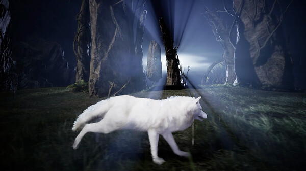 Light of Veilendor screenshot 9