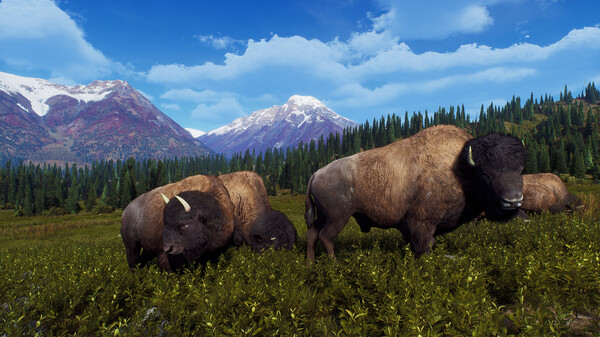 Way of the Hunter - Aurora Shores.