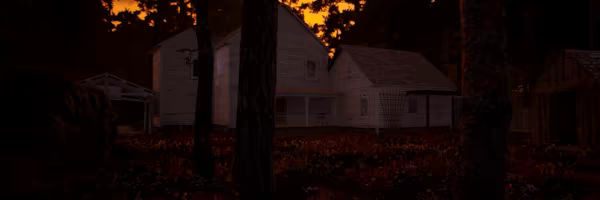 For What Will Come video 3