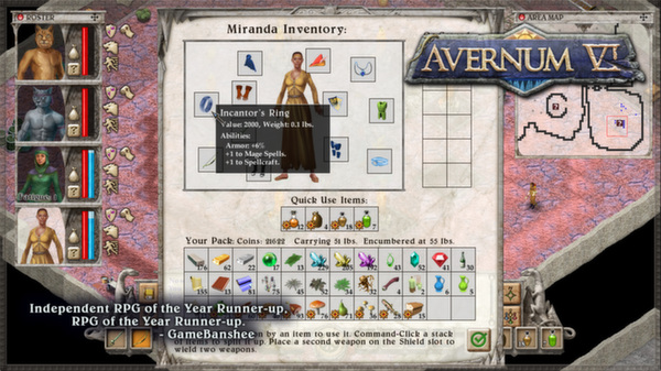 Screenshot z Avernum 6