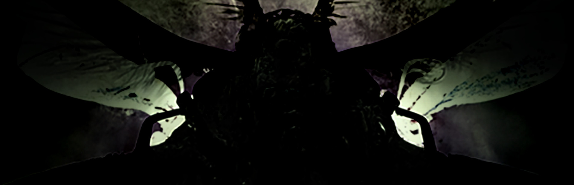 Redaction