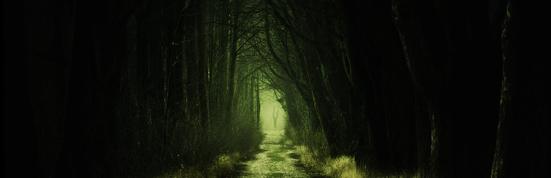 Alone Again: The Countryside