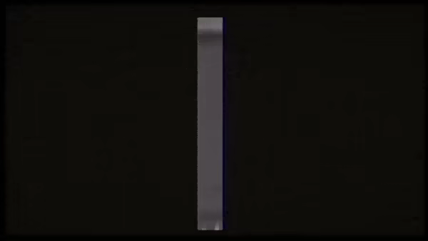 Bughouse video 1