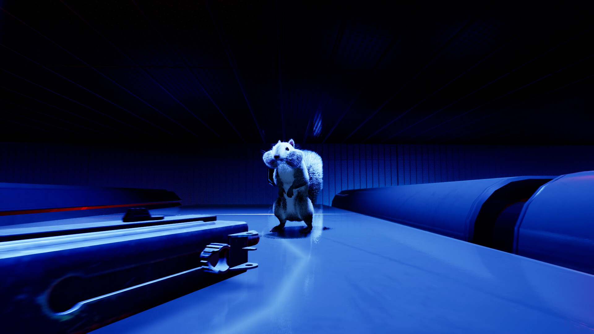 Squirrel with a Gun screenshot #9