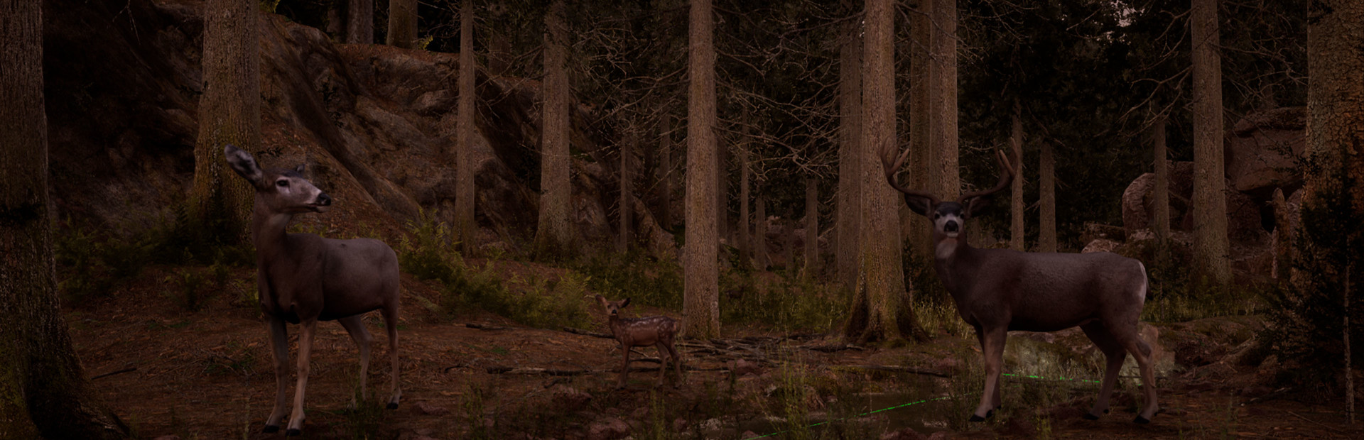 Wilderness Survival: The Conservationist