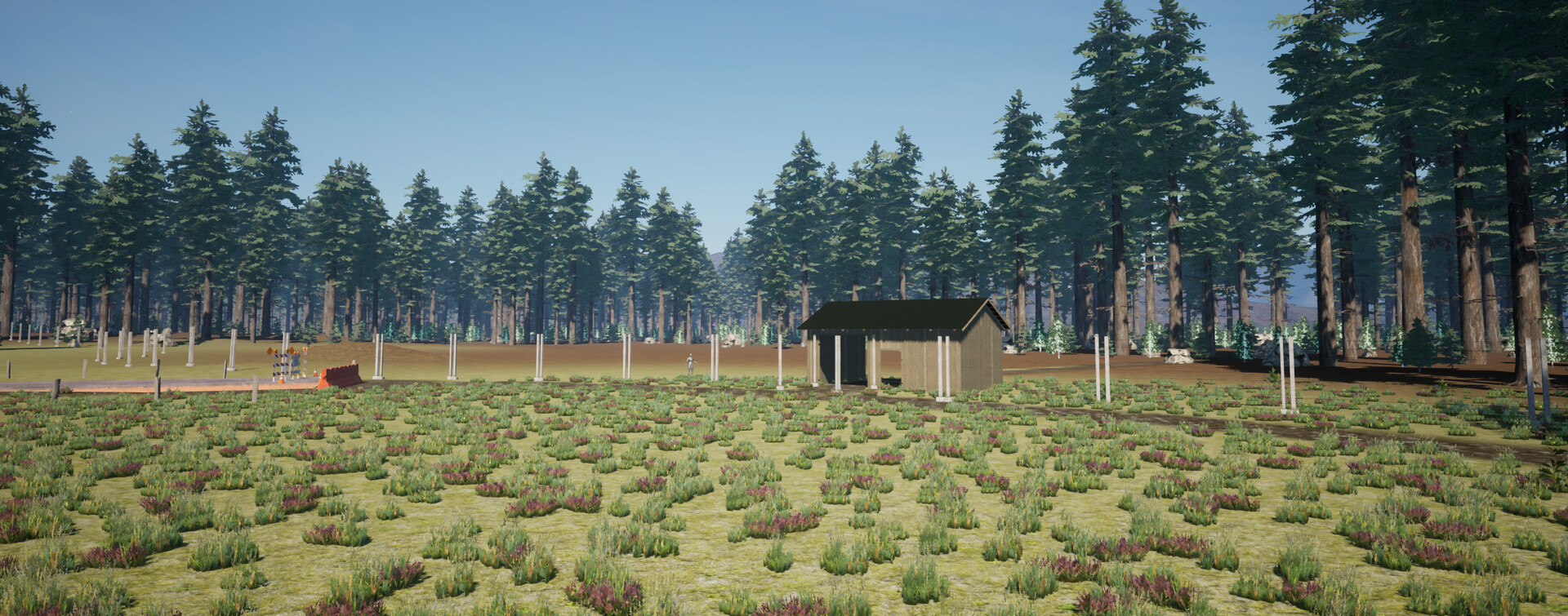 Wilderness Survival: The Conservationist screenshot #15