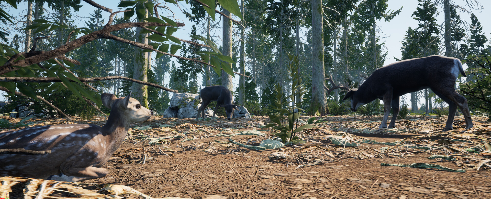 Wilderness Survival: The Conservationist screenshot #16