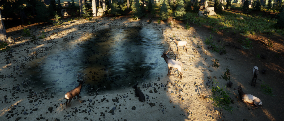 Wilderness Survival: The Conservationist screenshot #11