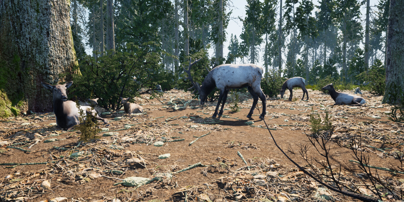 Wilderness Survival: The Conservationist screenshot #13