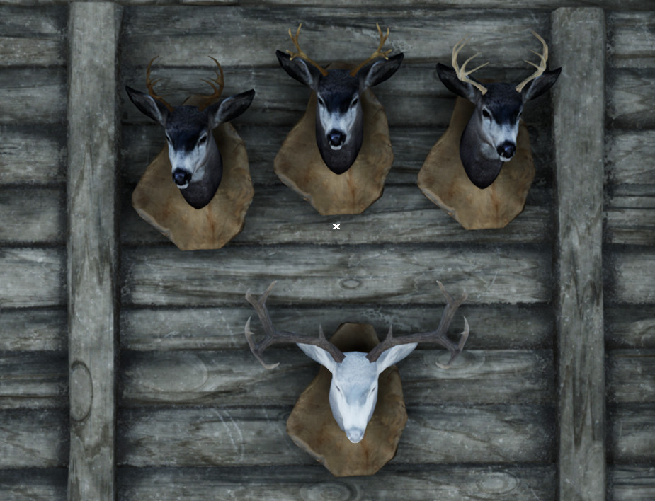 Wilderness Survival: The Conservationist screenshot #2