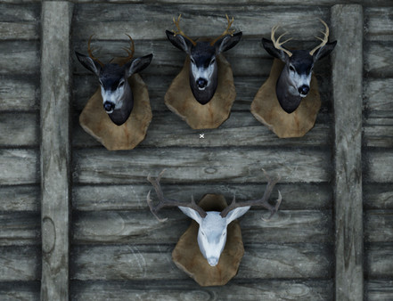 Wilderness Survival: The Conservationist screenshot 2