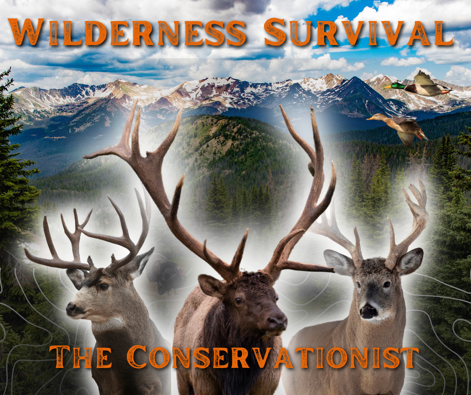 Wilderness Survival: The Conservationist screenshot #3
