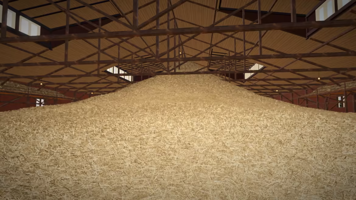 Hay! One Billion! video 1