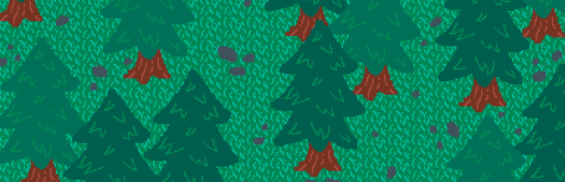 Raccoon Run