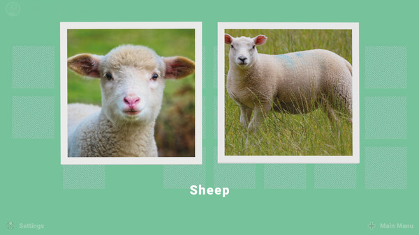 Screenshot z memory®