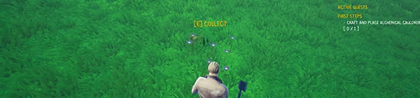Third Wild video 8