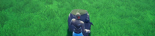 Third Wild video 9