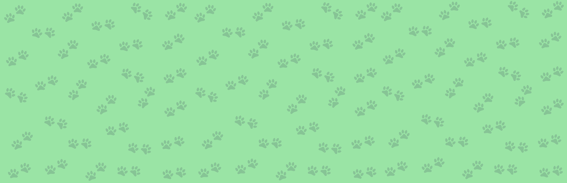 1001 Jigsaw. Cute Cats 2