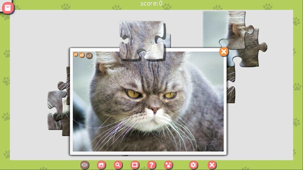 1001 Jigsaw. Cute Cats 3