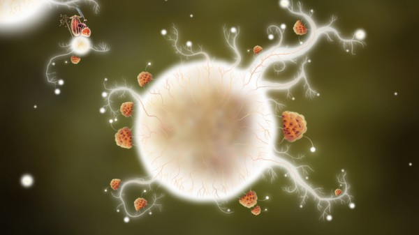 Screenshot z Botanicula