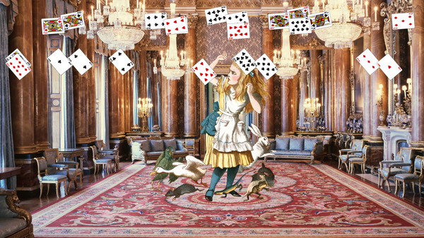Thumbnail 13