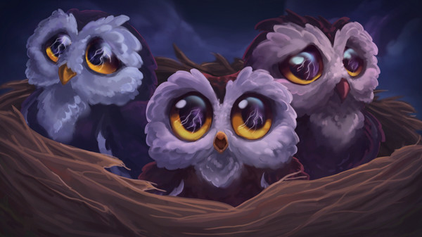Thumbnail 13