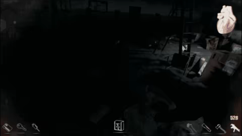 Volunteer video 4