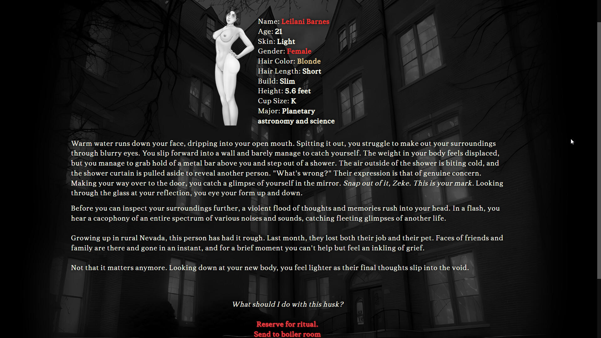 Artifact screenshot 13