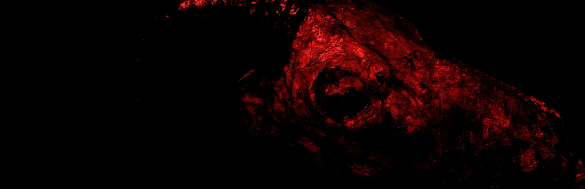 Out Of Hell
