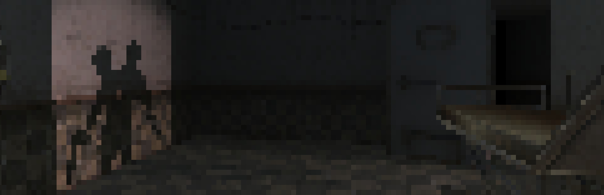Ashen Will
