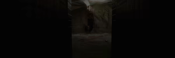 The Proponent video 5